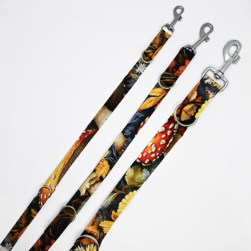 smycze grzyby w lisciach