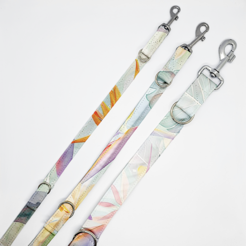 smycze strel na jasnym