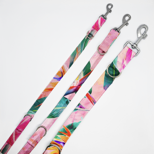 smycze strel na róż