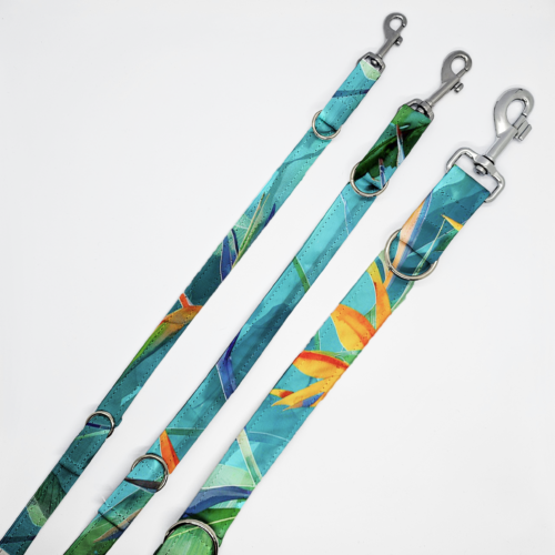 smycze strel na turkus