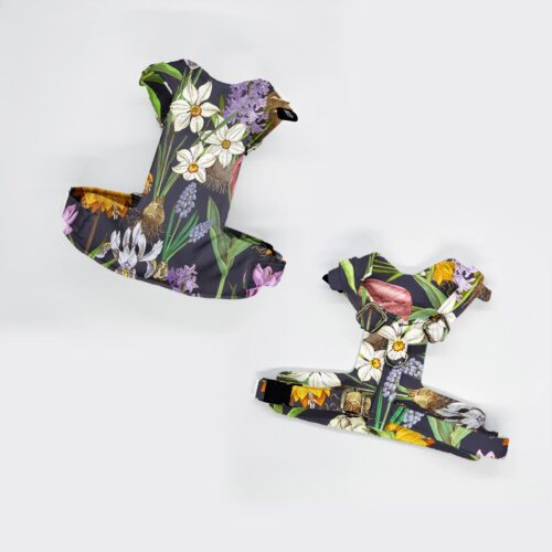 szelki bezuciskowe razen CEBULKI KWIATOW