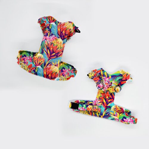 szelki bezuciskowe razen KOLOR PROTEA