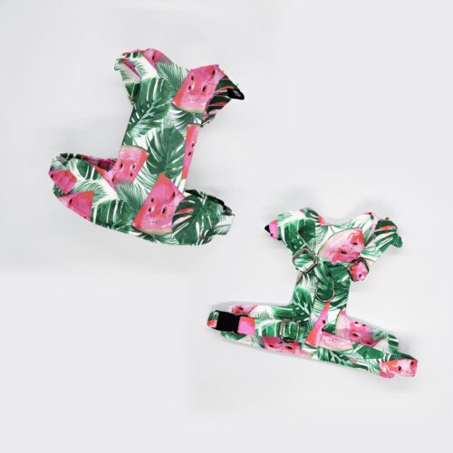 szelki bezuciskowe razen soczyste arbuzy