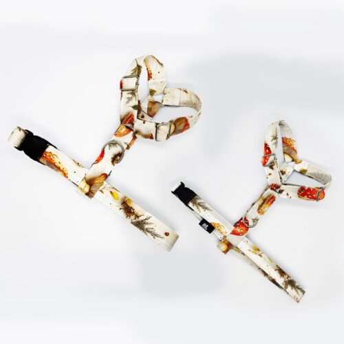 szelki klasyczne razem Recovered muchom na jasnym 1