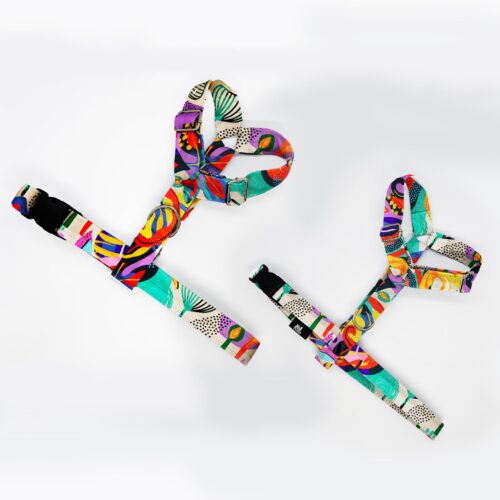 szelki klasyczne razem abstr kolor liscie 1