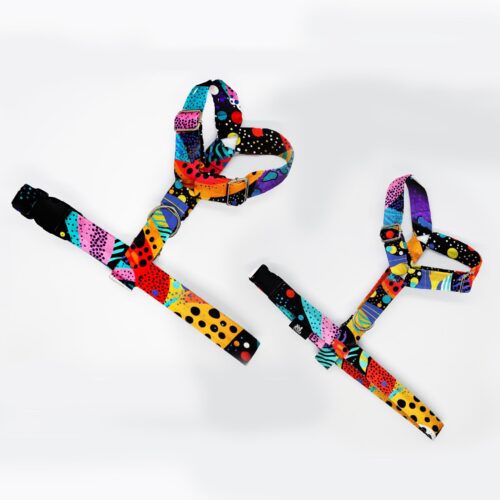 szelki klasyczne razem abstr kropki 1