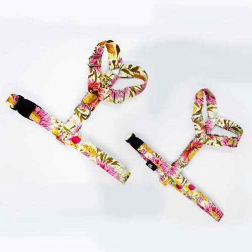 szelki klasyczne razem astry roz na jasnym 1