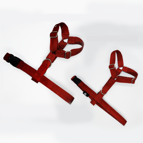 szelki klasyczne razem bordo