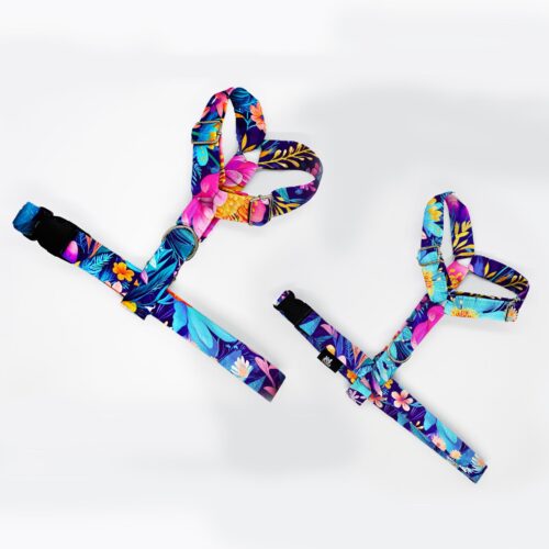 szelki klasyczne razem botaniczna fantazja