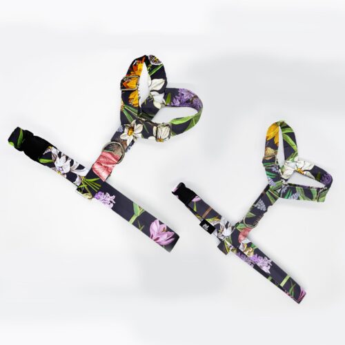 szelki klasyczne razem cebulki kwiatow 1