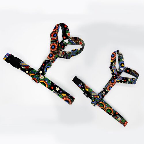 szelki klasyczne razem czaszki mexico 1