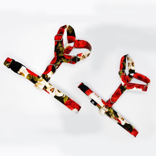 szelki klasyczne razem czaszki w rozach 1