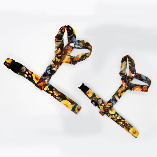 szelki klasyczne razem grzyby w lisciach 1