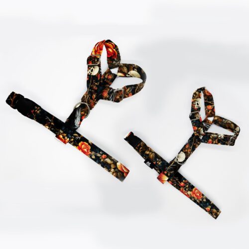 szelki klasyczne razem halloween kruki czachy 1