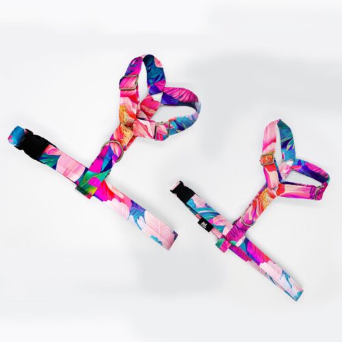 szelki klasyczne razem hawajski sen 1