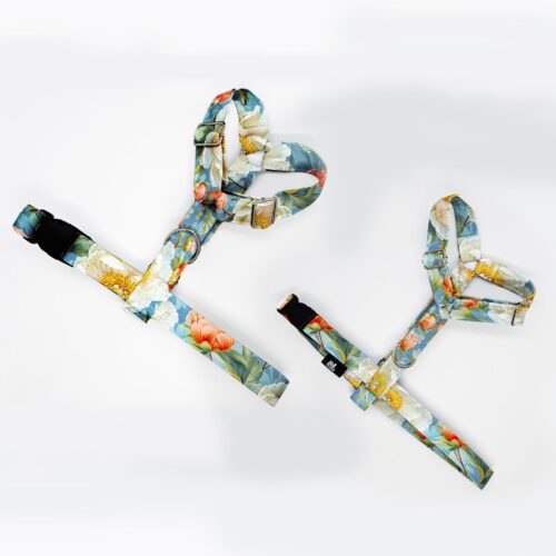 szelki klasyczne razem jasne piwonie 1