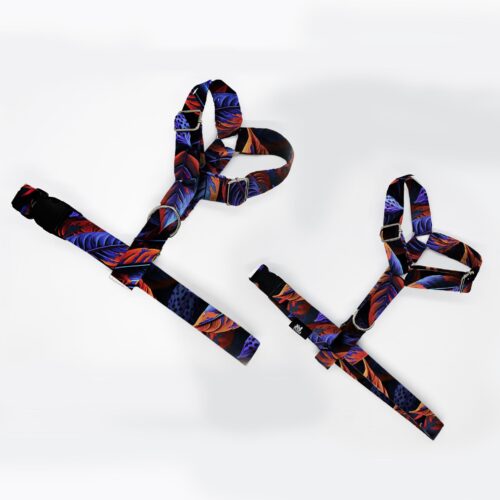 szelki klasyczne razem kakaowiec 1