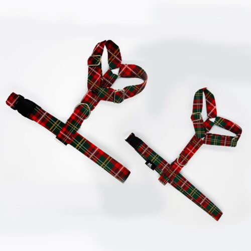 szelki klasyczne razem krata czerw ziel