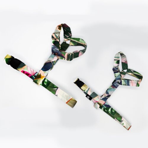 szelki klasyczne razem liscie kwiatow doniczk 1