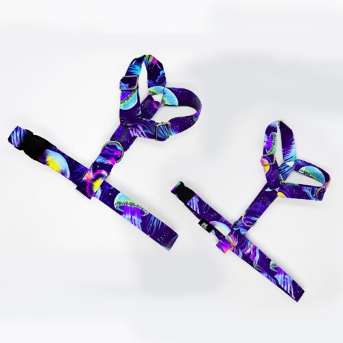 szelki klasyczne razem meduzy w glebi 1