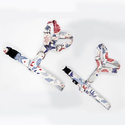 szelki klasyczne razem morskie dno na jasnym 1