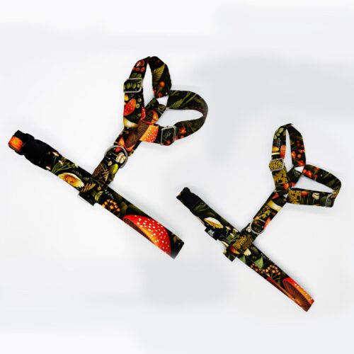 szelki klasyczne razem muchomory w lesie 1