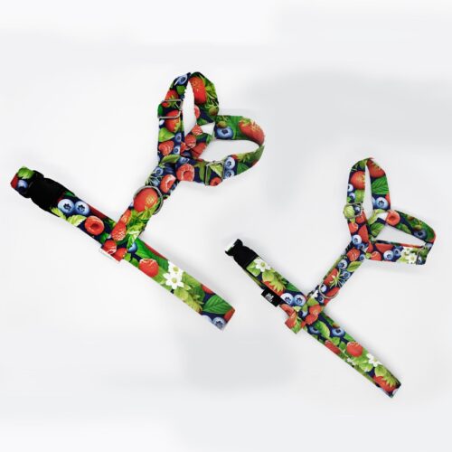 szelki klasyczne razem owocowy ogrod 1