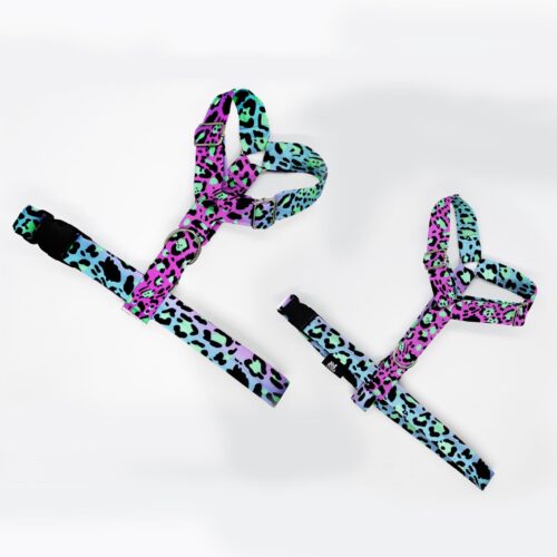 szelki klasyczne razem panterka fiolet turkus 1