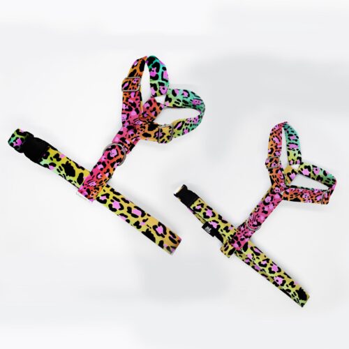 szelki klasyczne razem panterka roz pom 1