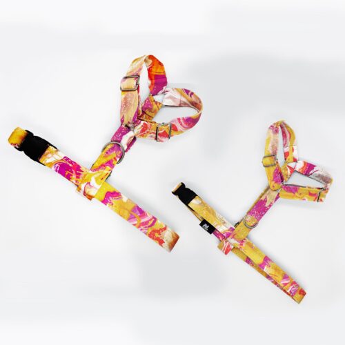 szelki klasyczne razem pom roz abstr 1