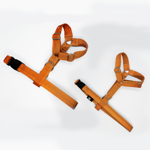 szelki klasyczne razem pomarań