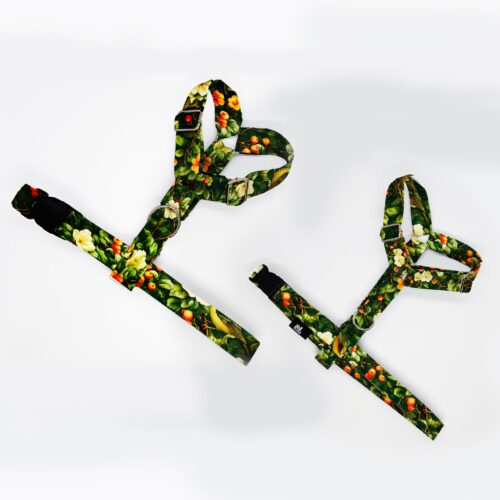 szelki klasyczne razem ptaki w kwiatkach 1