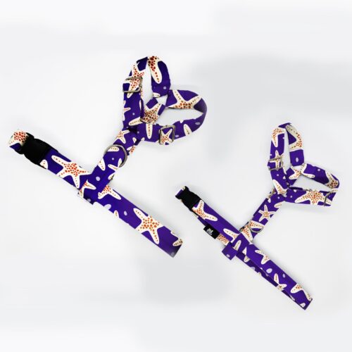 szelki klasyczne razem rozgwiazdy na granat 1