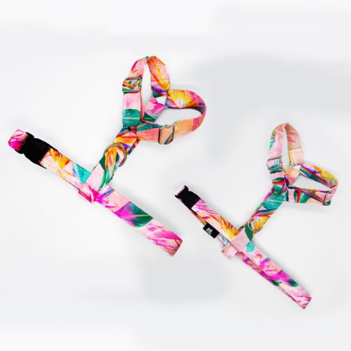 szelki klasyczne razem strelicje na roz 1