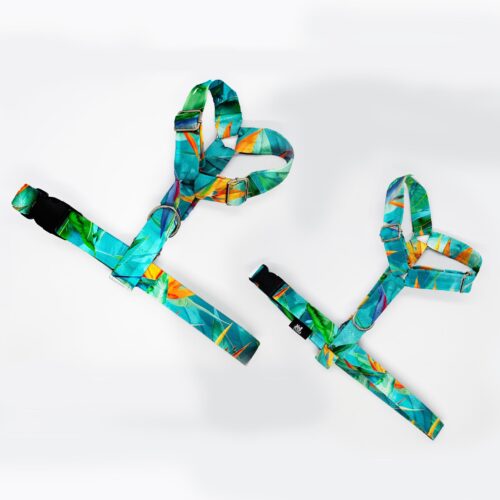 szelki klasyczne razem strelicje na turkusowym 1