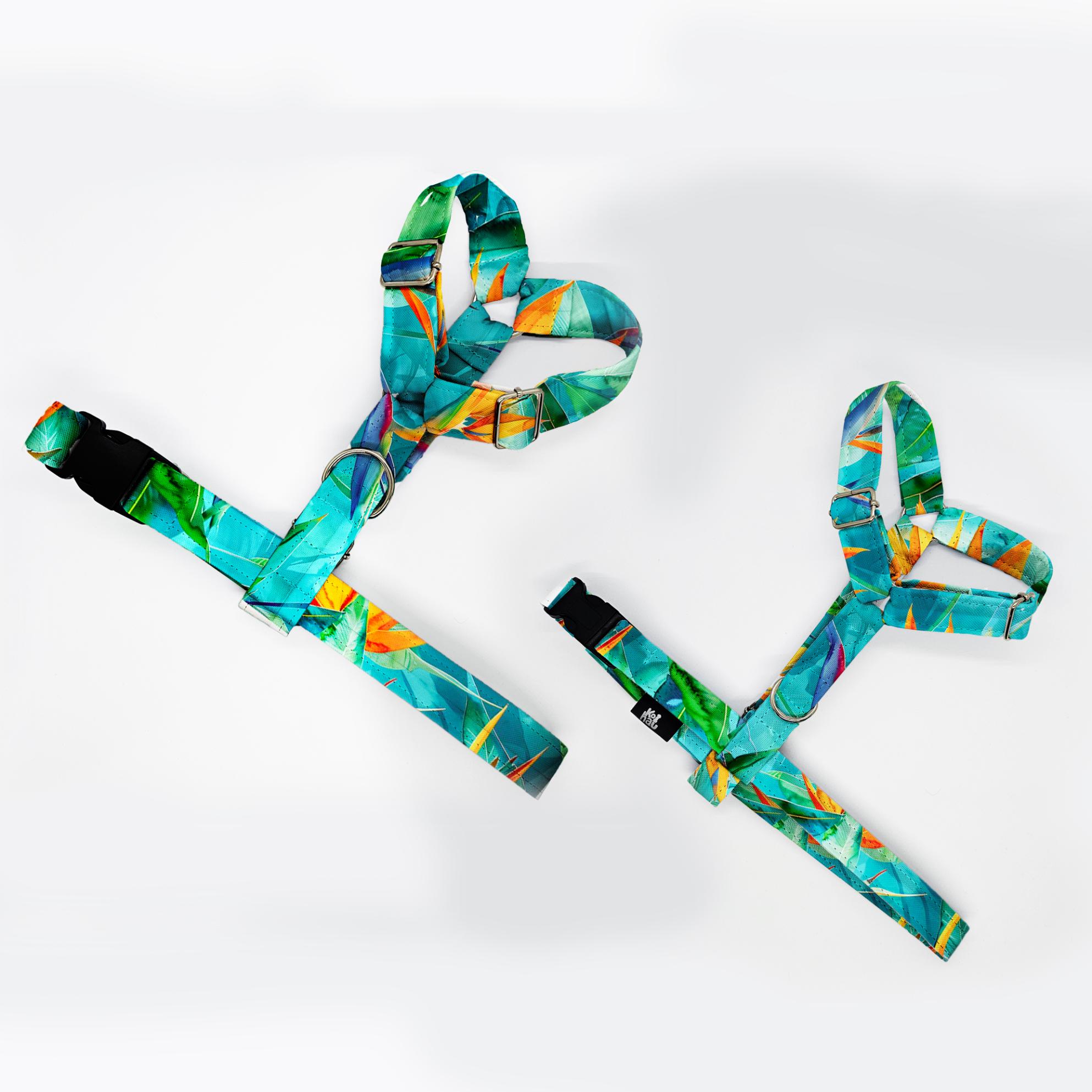 szelki klasyczne razem strelicje na turkusowym 1