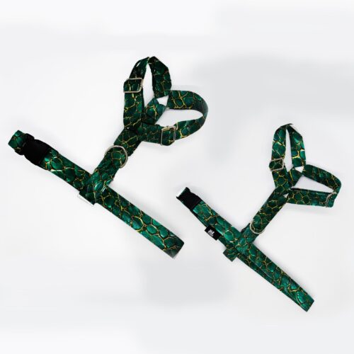 szelki klasyczne razem ziel zlota skora weza 1