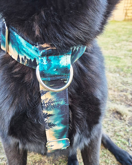 szelki z zapieciem typu easy walk 3