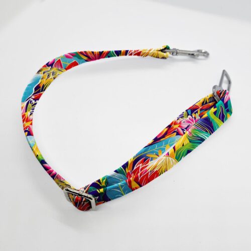 zapiecie pasa kolor protea