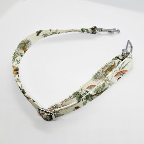 zapiecie pasa lesne ptaki