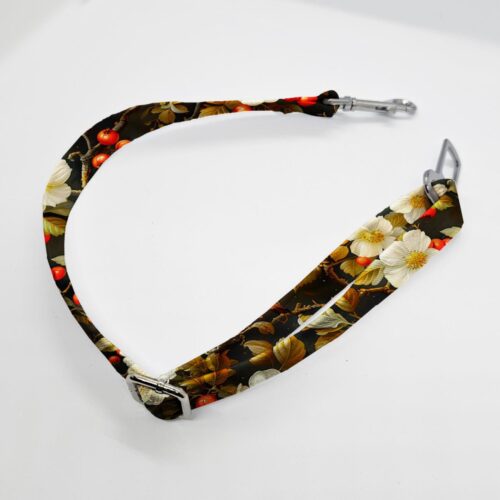 zapiecie pasa ptaki na jabloni